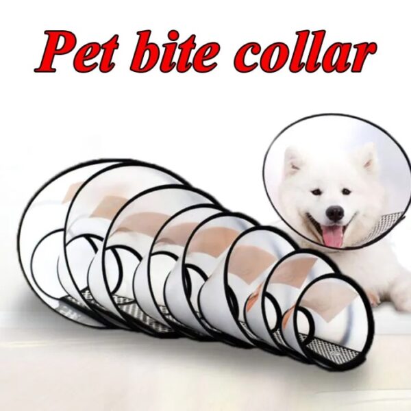 Elizabeth E Collar, Anti bite Safety collar for Cat & Dog