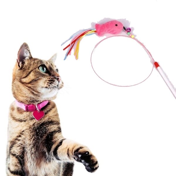 Funny Cat Stick Wire Toy with Bell, Long Wire Mouse, Fish kitten toy, Cat Exercise Play, Fun, Gifts, Cute