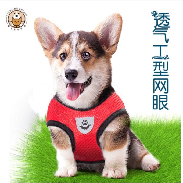 Dog Harness and leash set,L and XL size, Dog Body harness