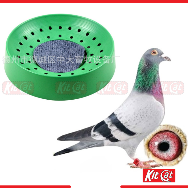 Original China Imported Racing Pigeon Breeding Nest, Egg Laying and Hatching Pot, pigeon Hari egg nest